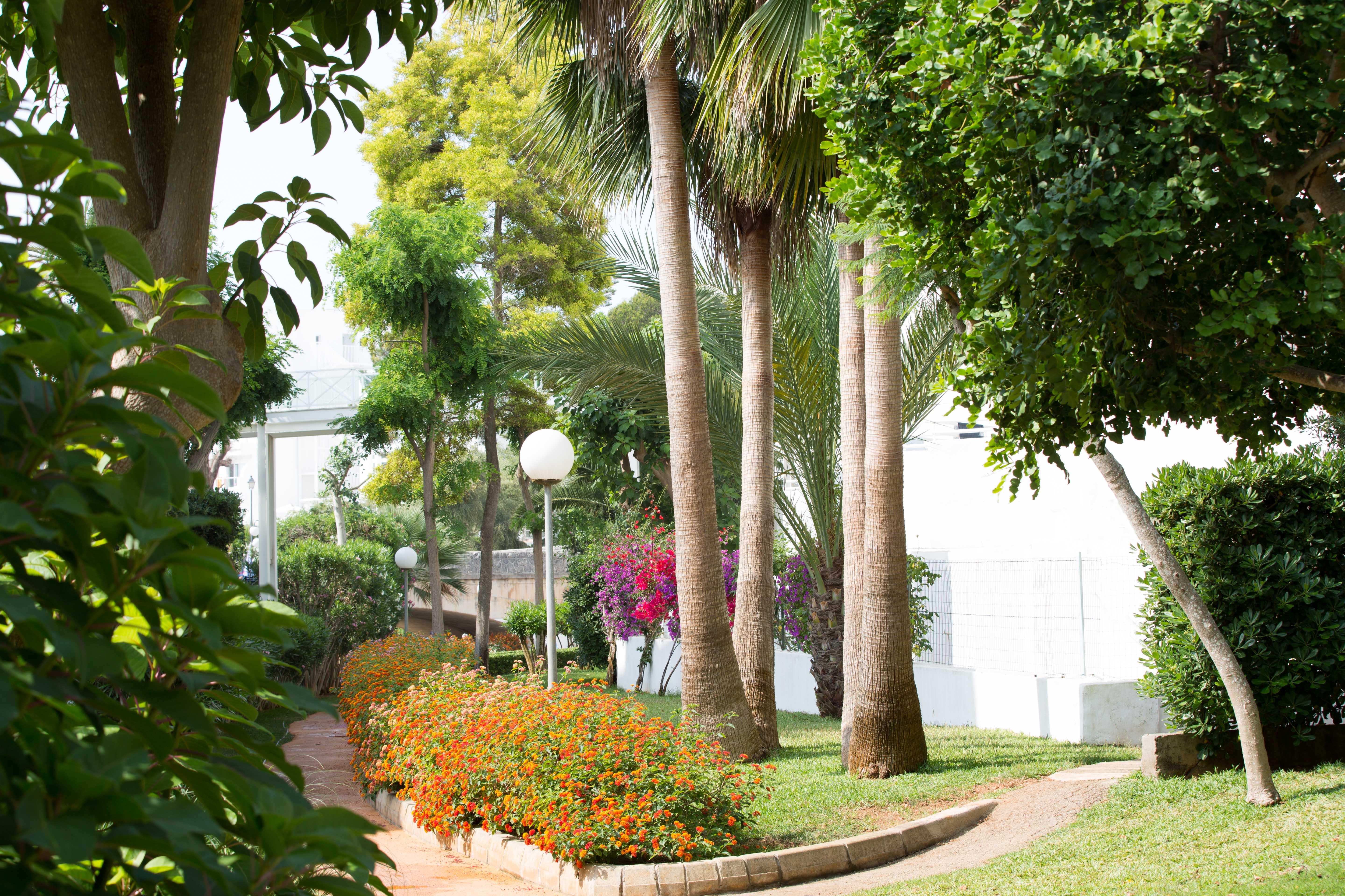 Gavimar Cala Gran Hotel&Apartments Cala D´Or Exterior foto