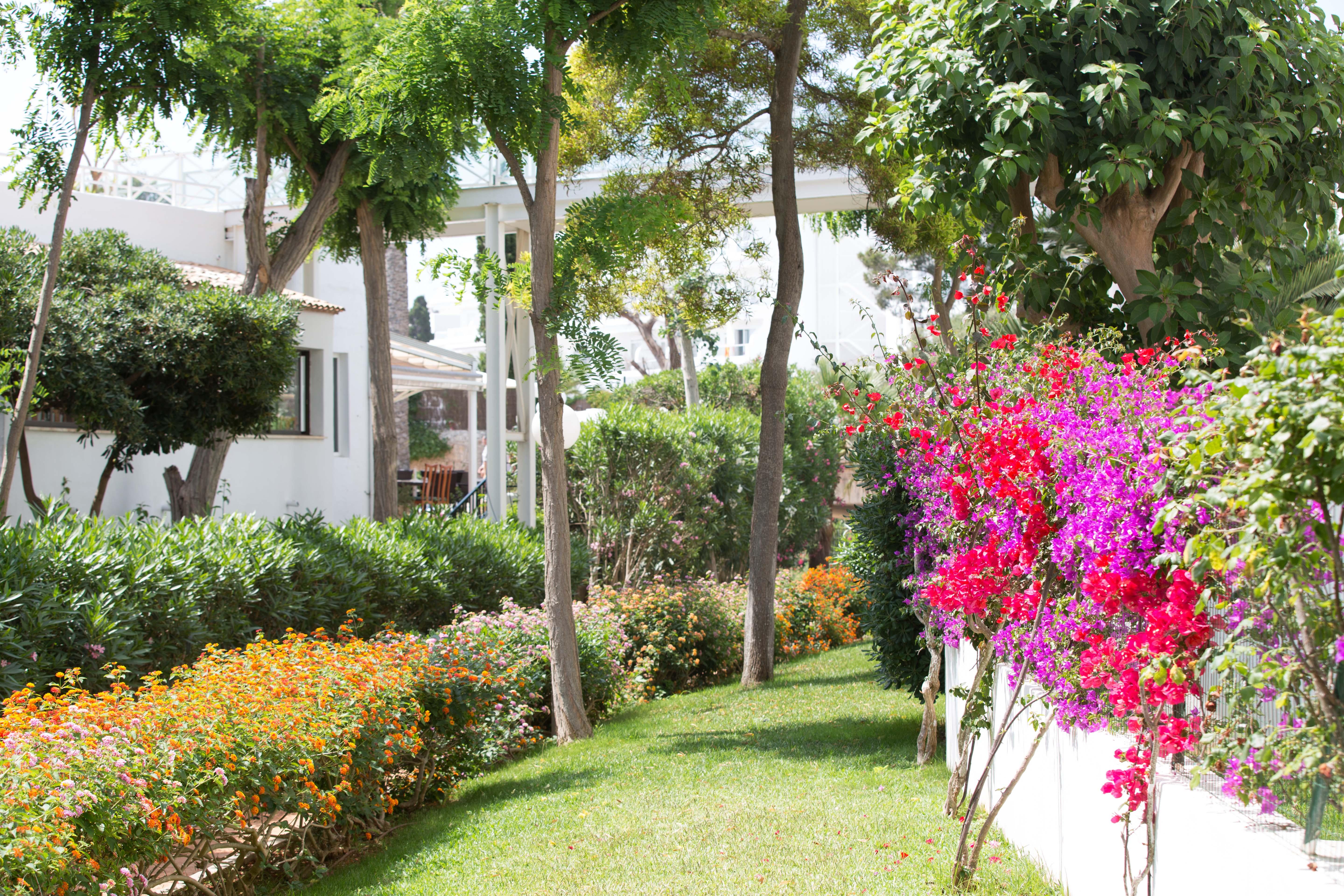 Gavimar Cala Gran Hotel&Apartments Cala D´Or Exterior foto
